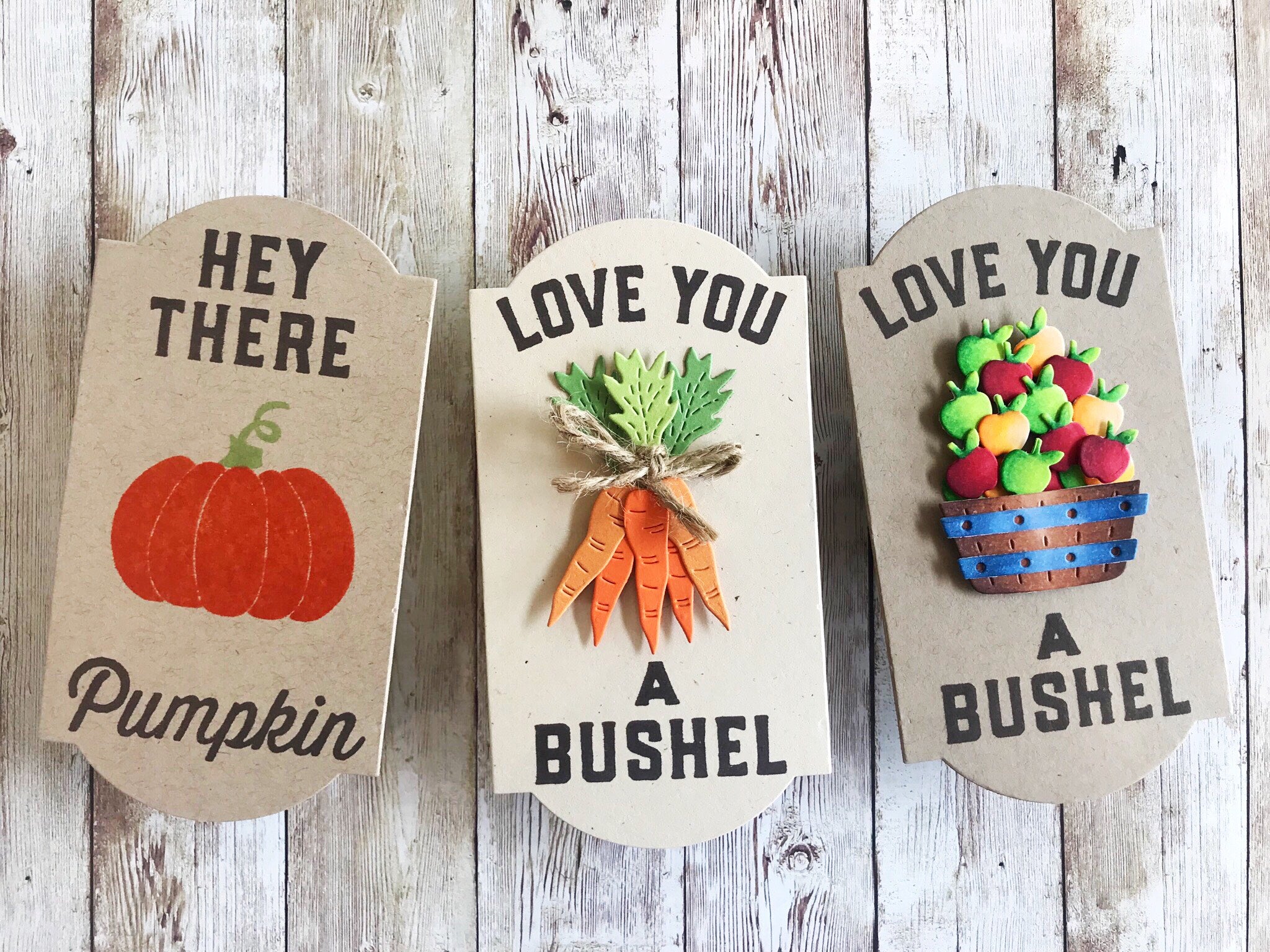 FEATURE FRIDAY: Friendship Farms & Sweater Weather