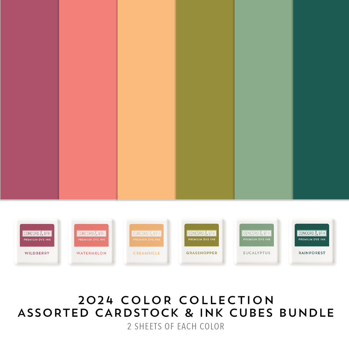 2024 Color Collection Assorted Cardstock Pack &amp; Ink Cubes Bundle