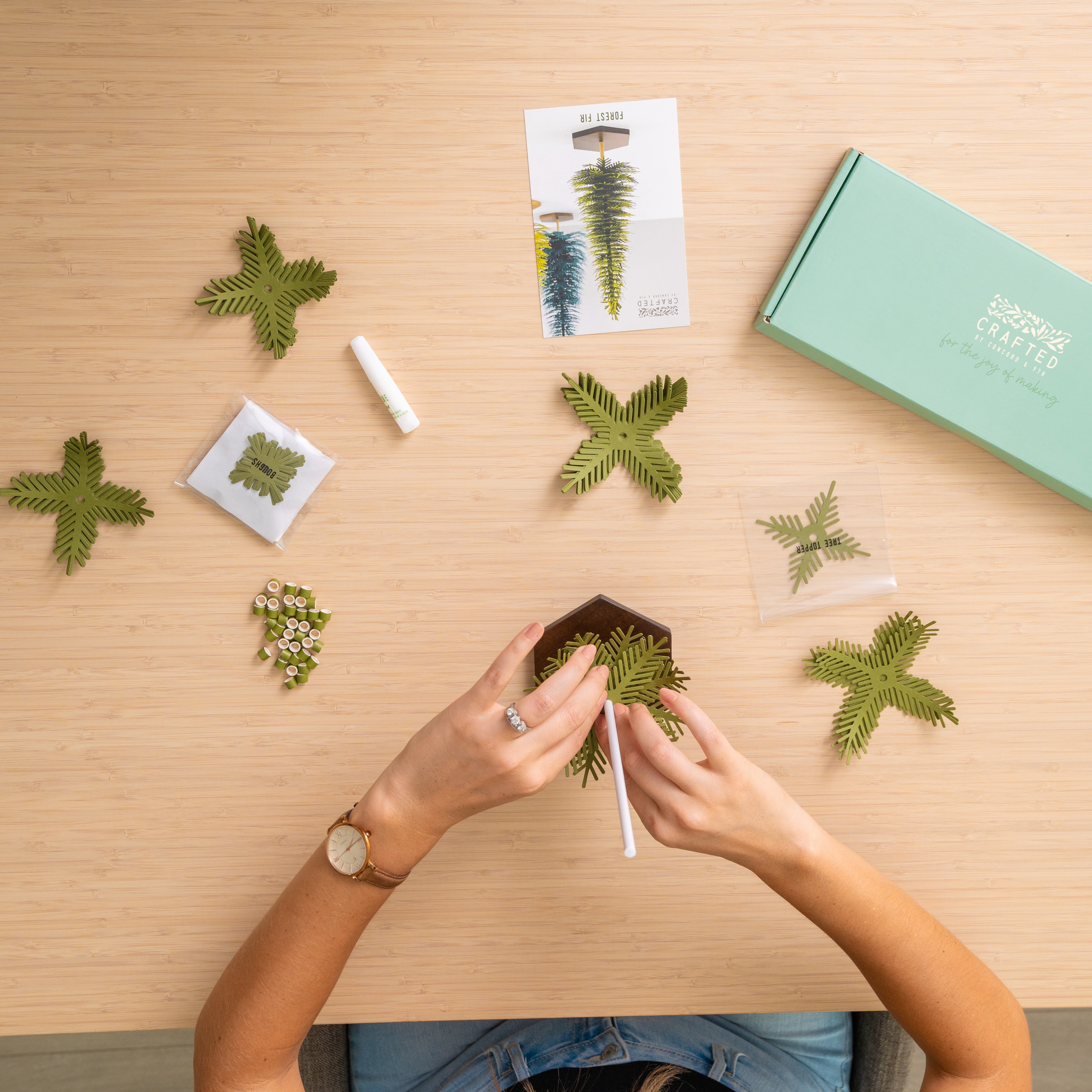 Forest Fir - Small Tree