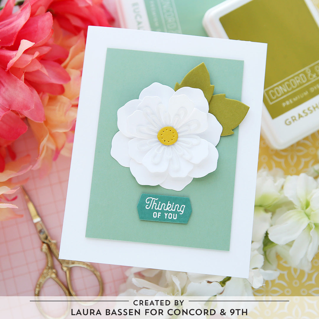 Paper Posy Embossing Folder