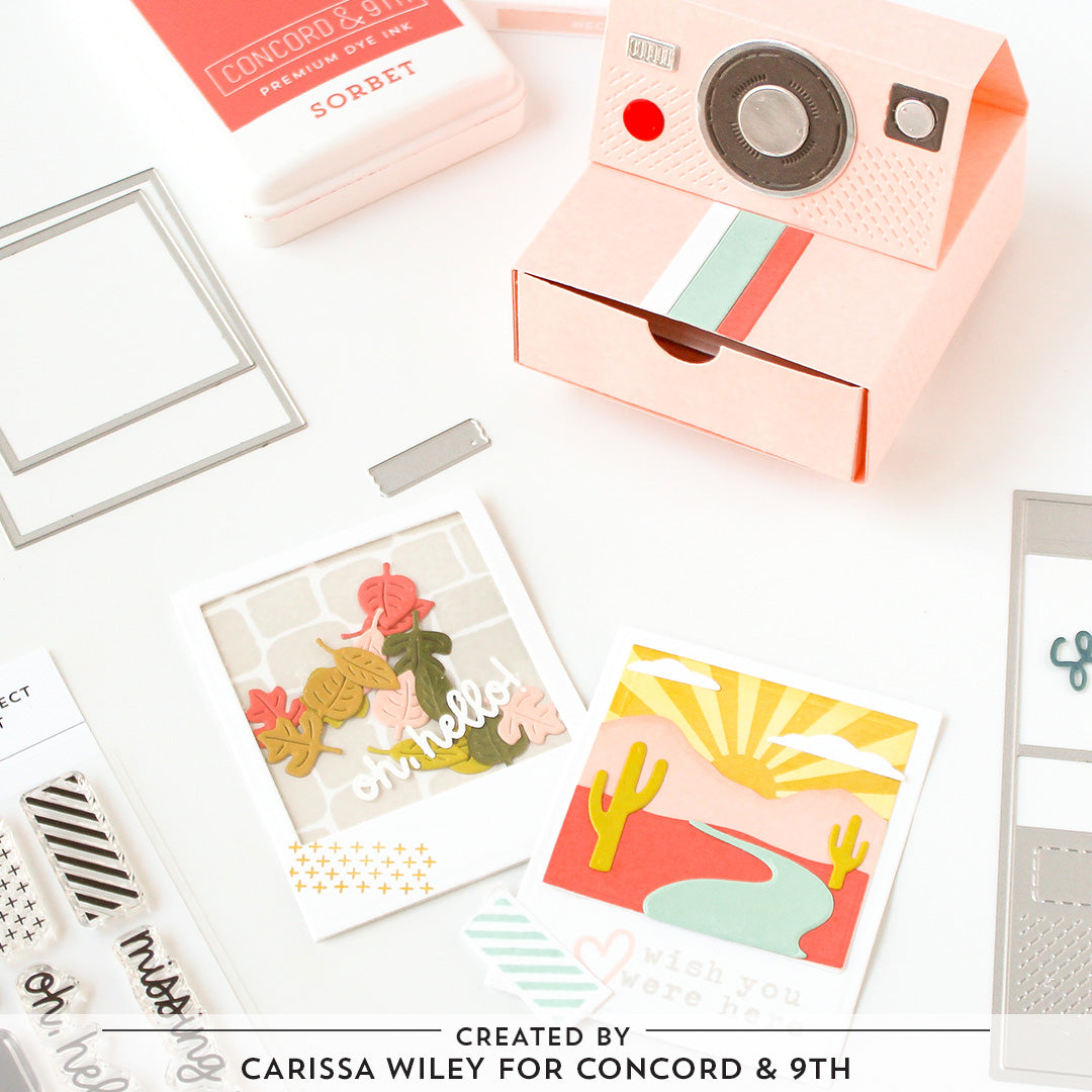 LAST CHANCE: Picture Perfect Stamp Set