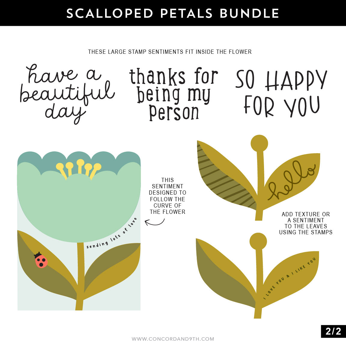 Scalloped Petals Stamp Set