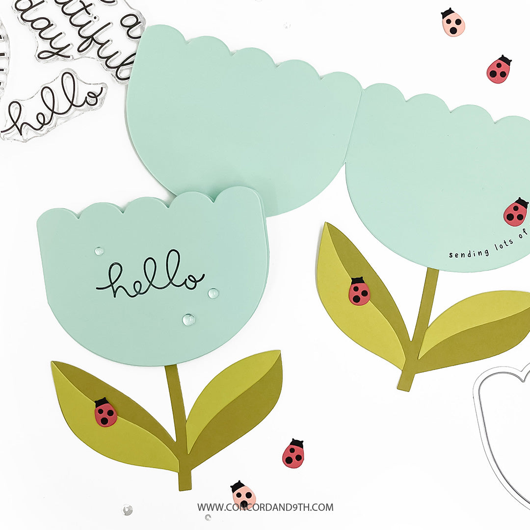 Scalloped Petals Bundle