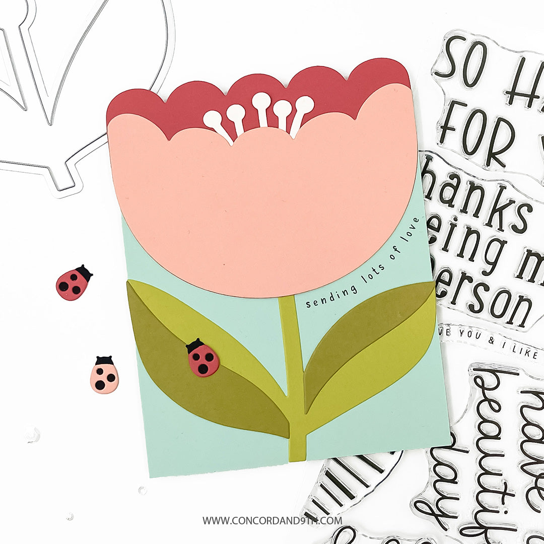 Scalloped Petals Bundle