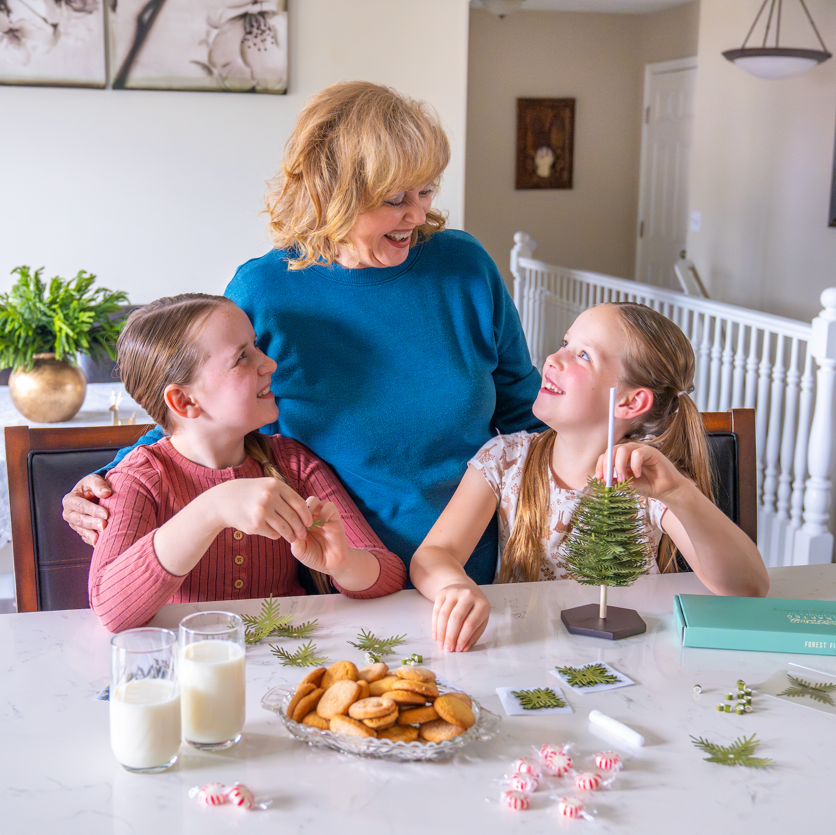 Forest Fir - Small Tree