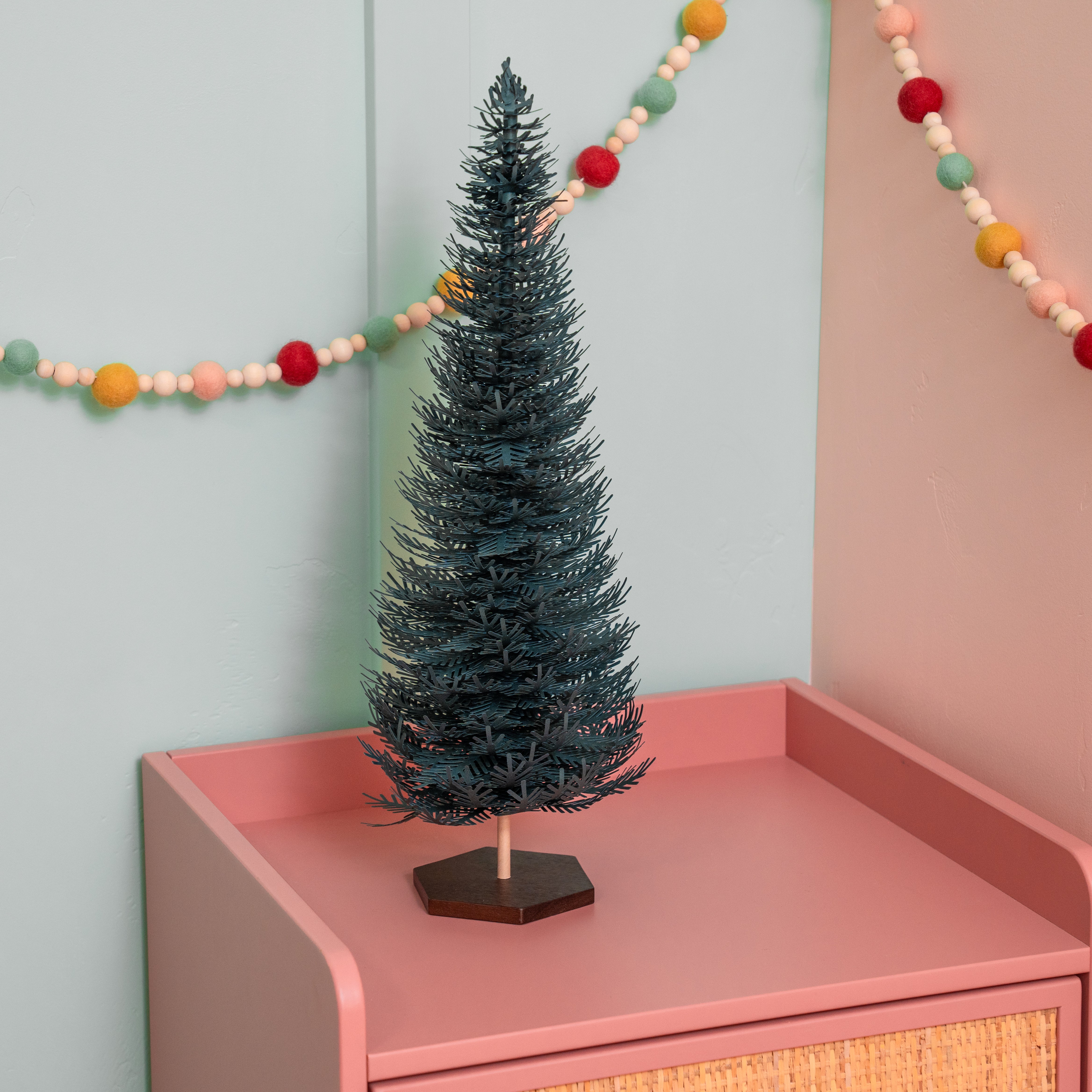 Splendid Spruce - Large Tree