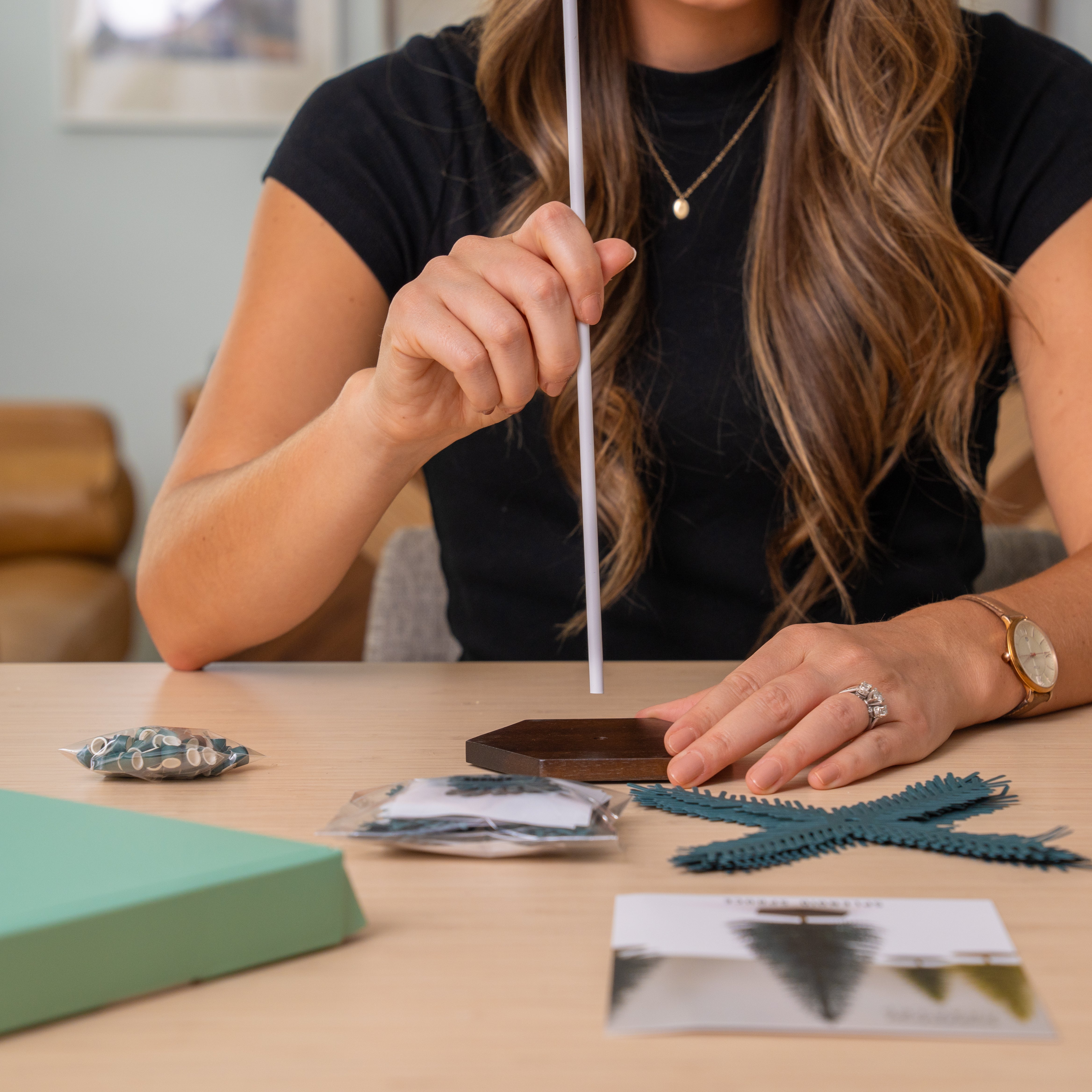Splendid Spruce - Large Tree
