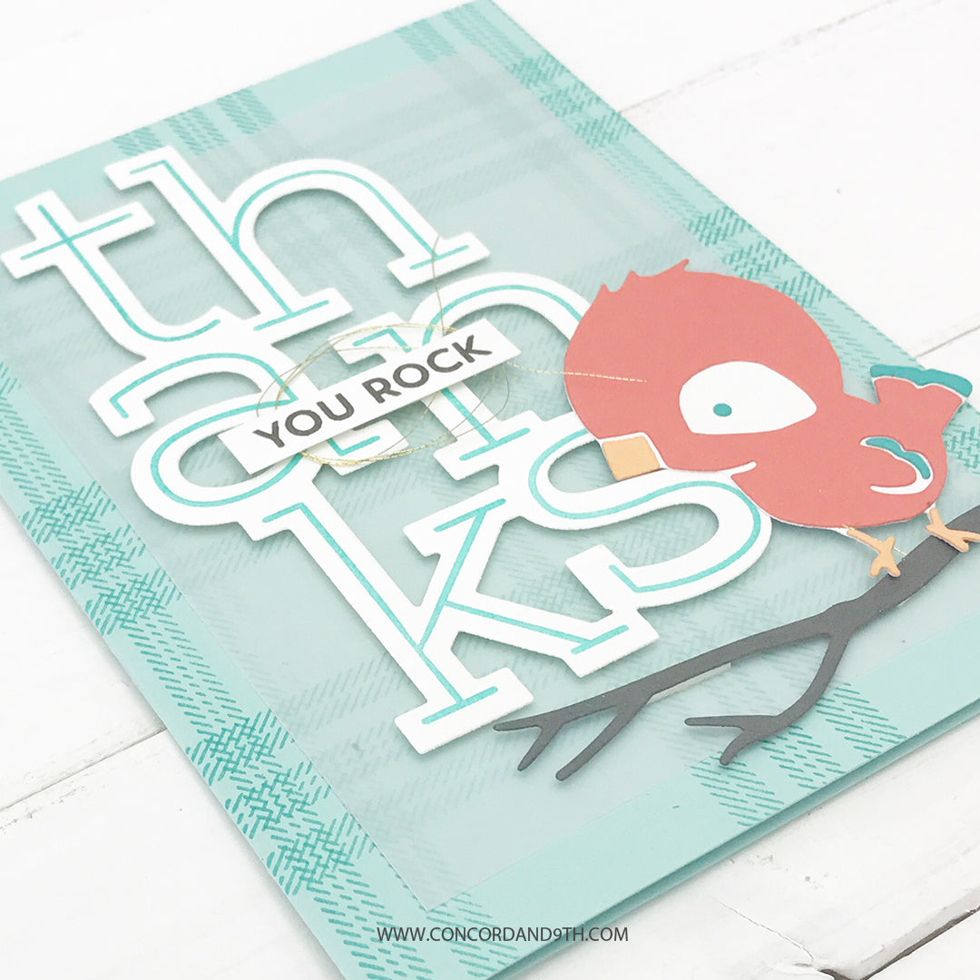 Paquete de agradecimiento grande