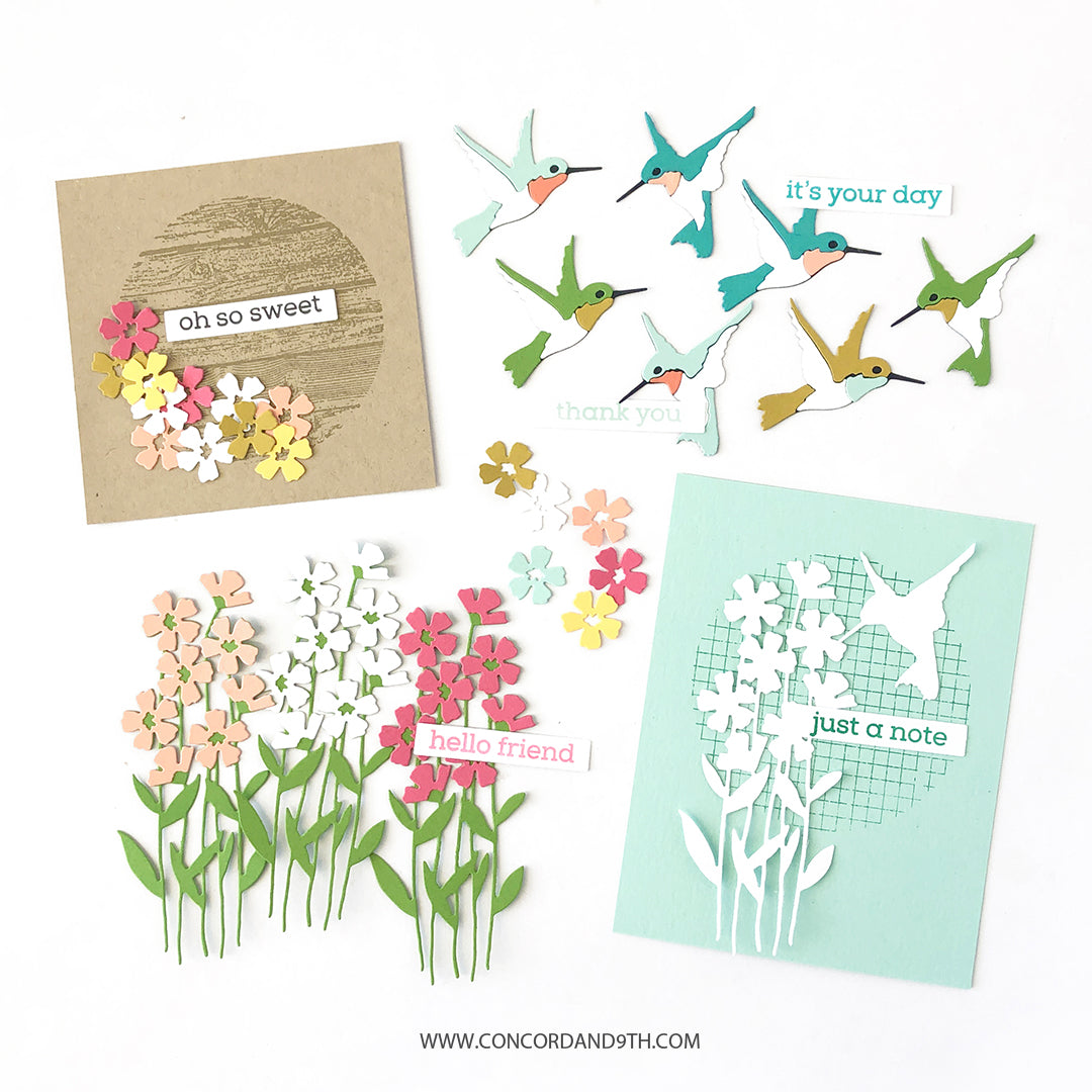 Paquete de jardín ecléctico