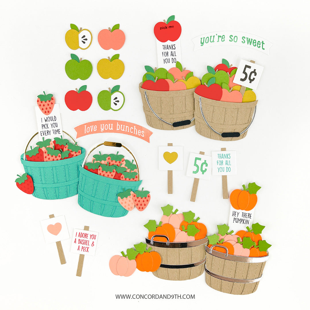 Juego de sellos recién elegido