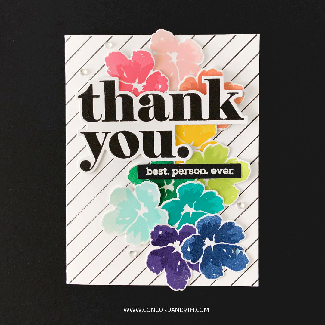 LAST CHANCE: Painted Peony Dies