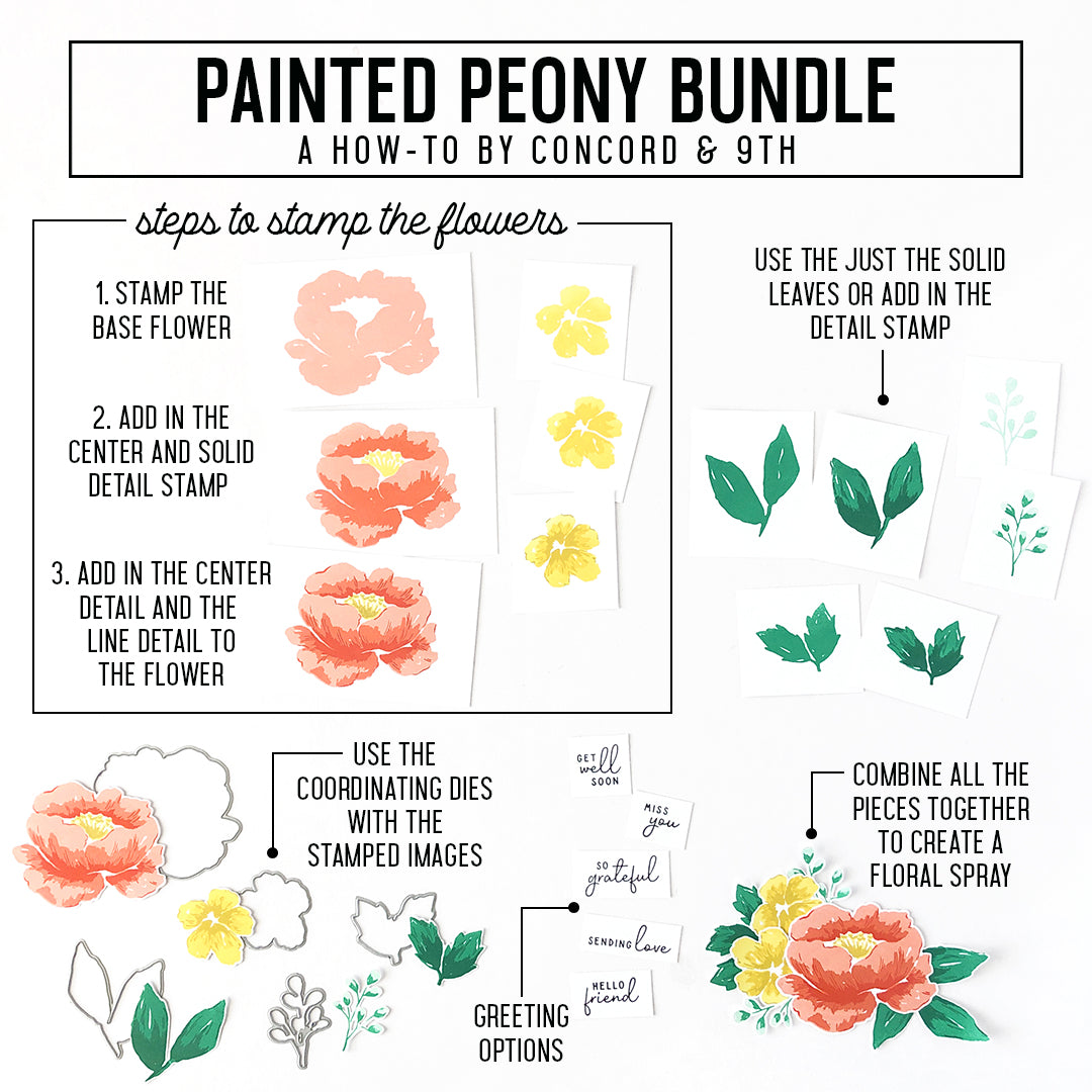 LAST CHANCE: Painted Peony Dies