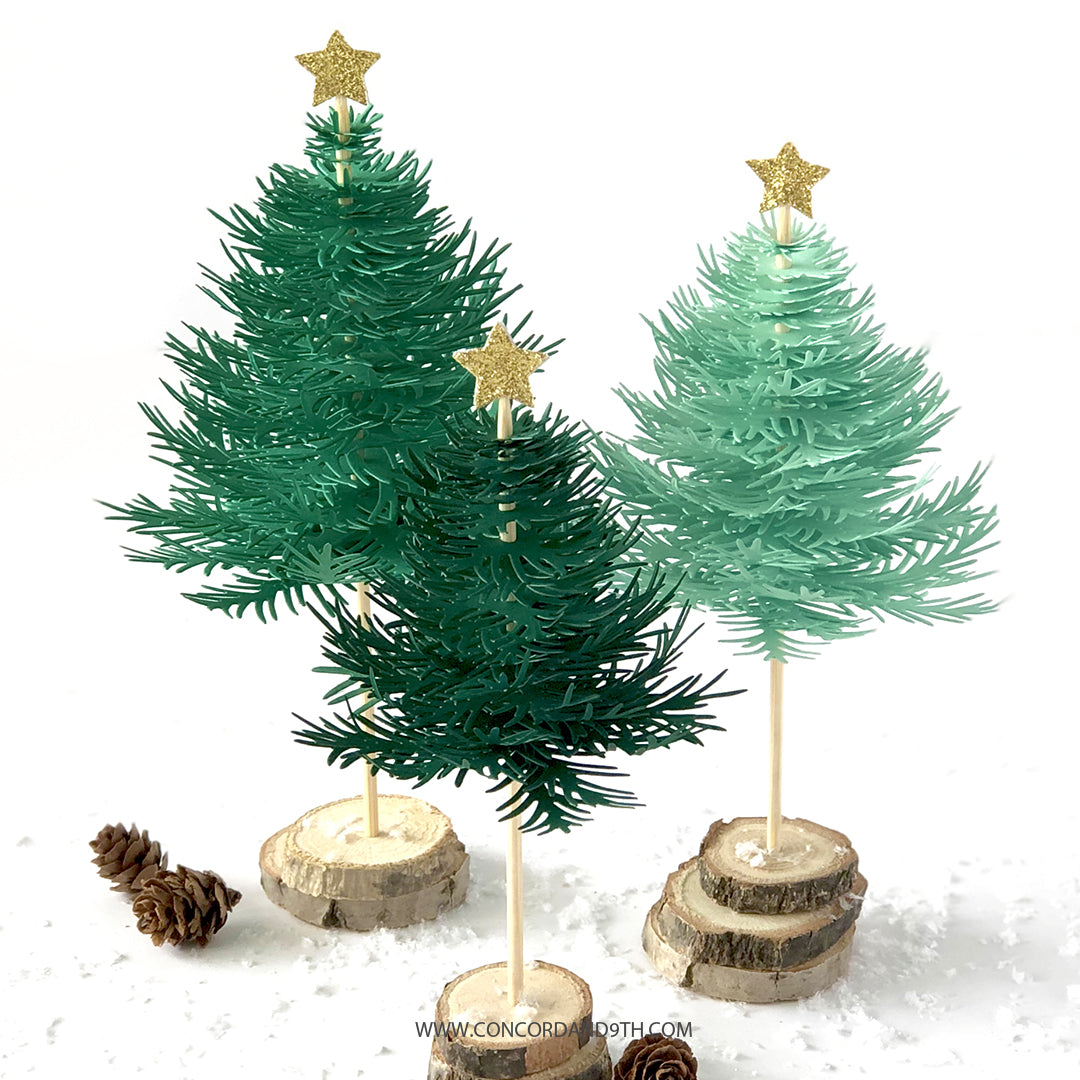 Muere Take A Bough Encore