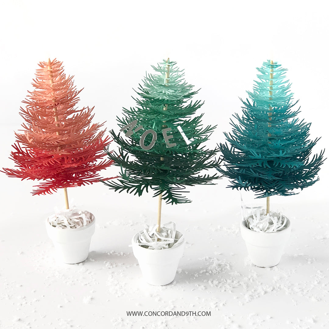 Muere Take A Bough Encore