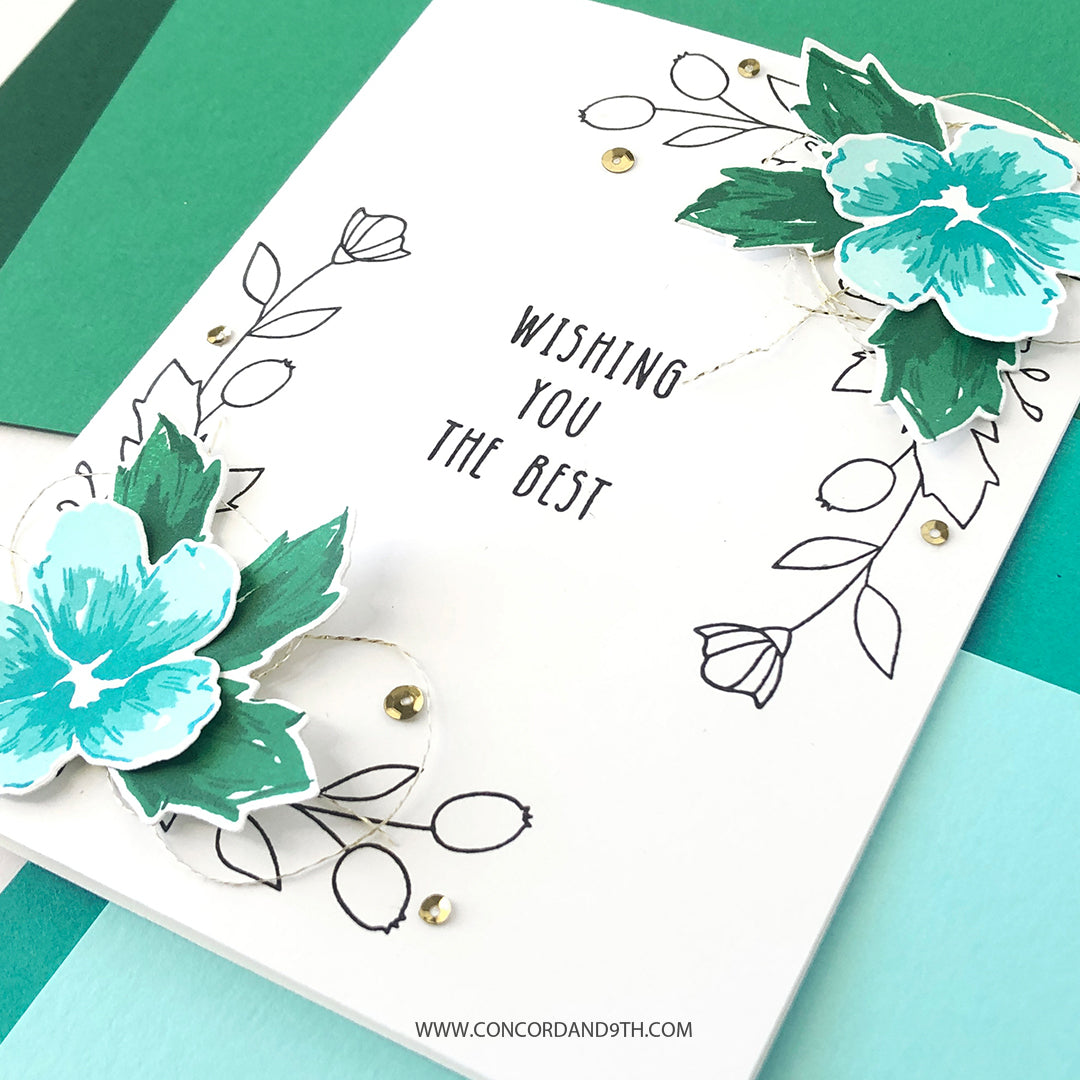 LAST CHANCE: Painted Peony Dies