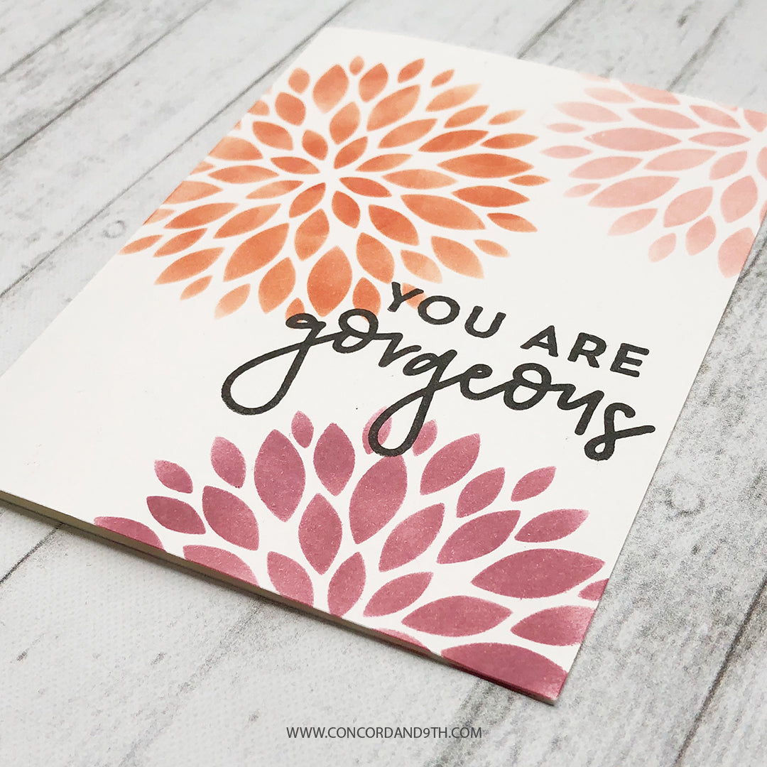 Paquete Dahlia Turnabout™