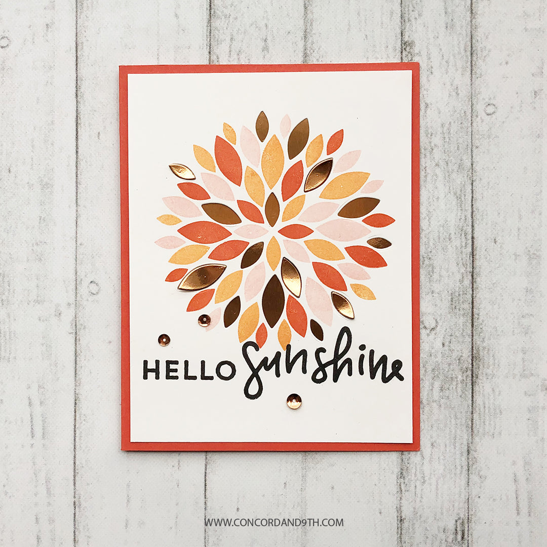 Paquete Dahlia Turnabout™