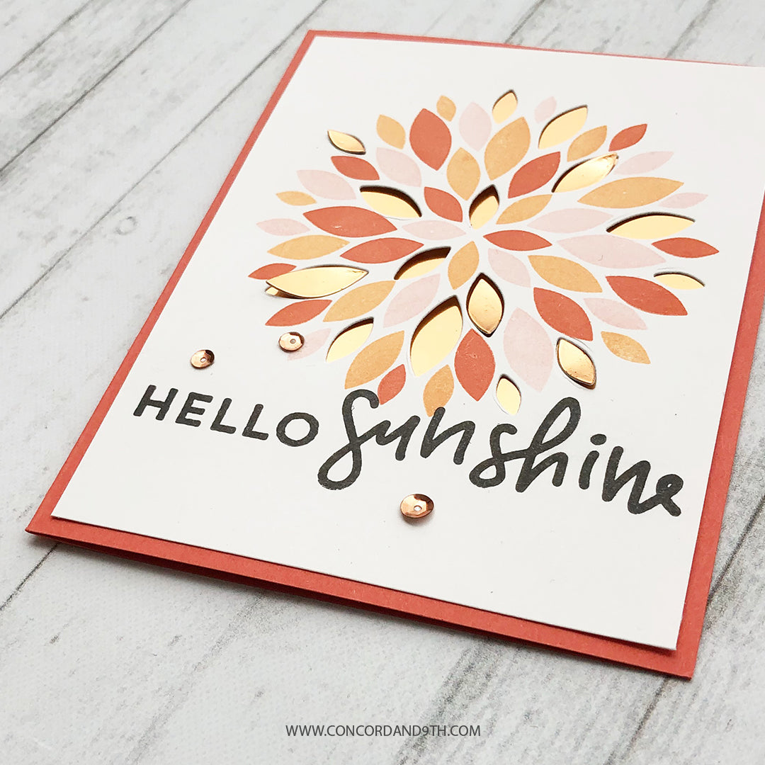 Paquete Dahlia Turnabout™