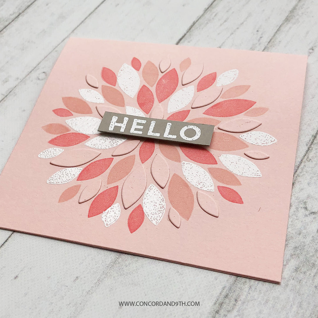 Paquete Dahlia Turnabout™