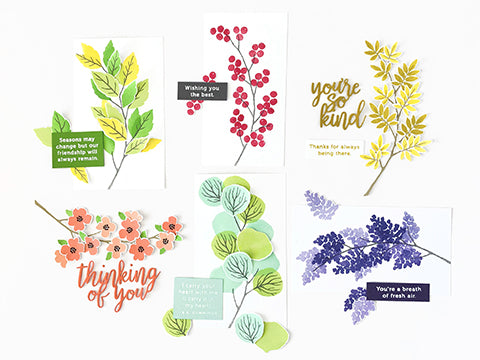 FEATURE FRIDAY: SEASONAL BRANCHES