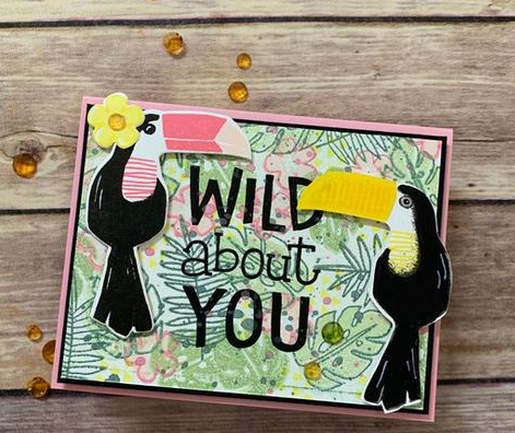 FEATURE FRIDAY: Toucan Paradise