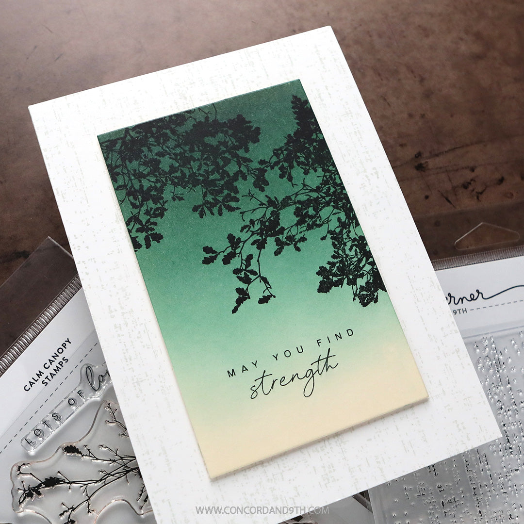 Calm Canopy Bundle