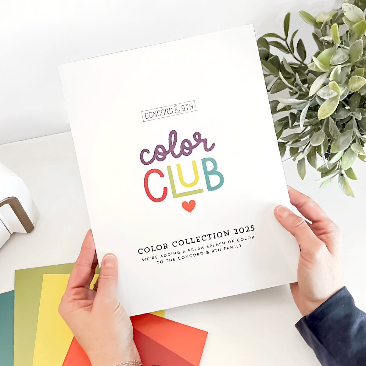 Color Club Kit: 2025 Color Collection