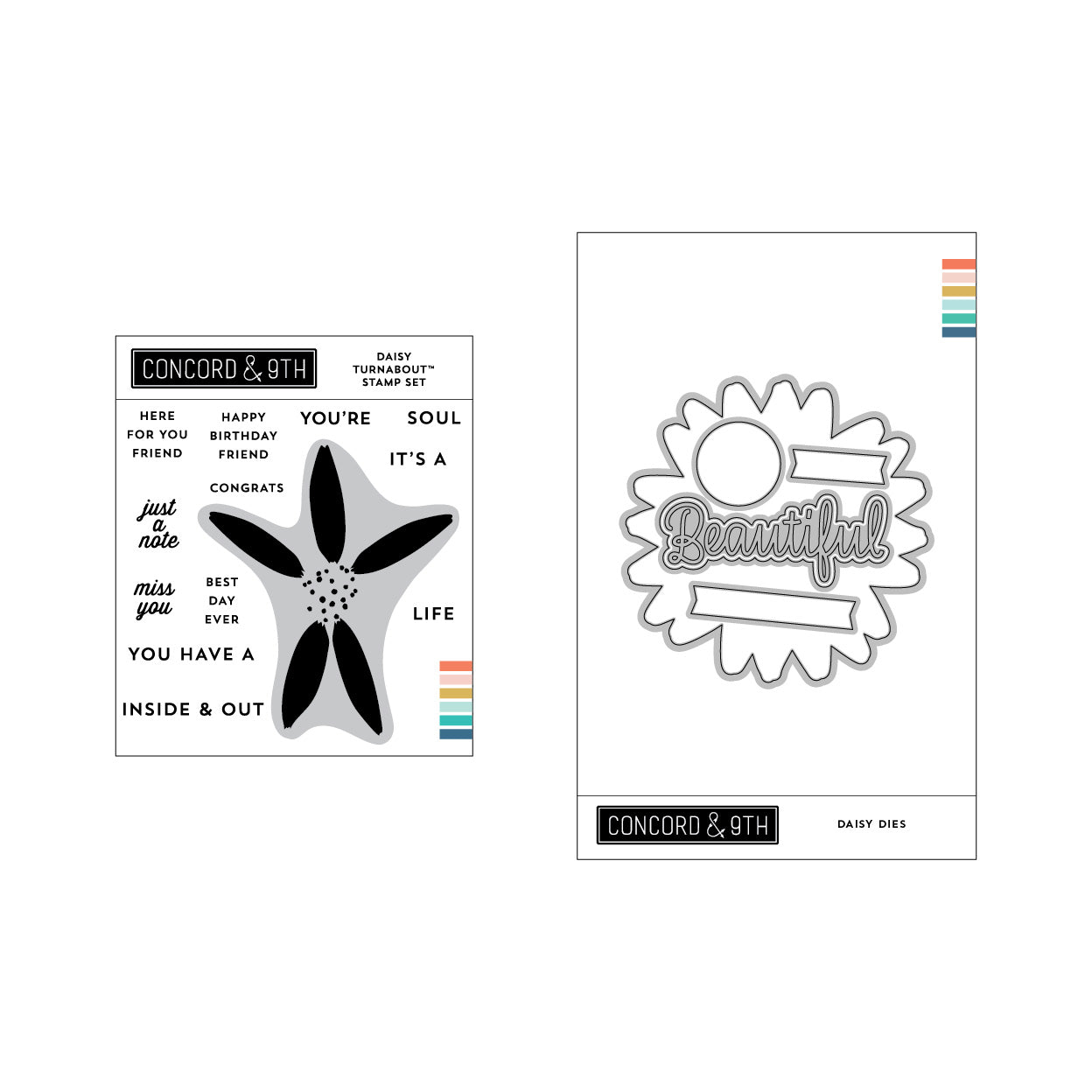 Daisy Bundle