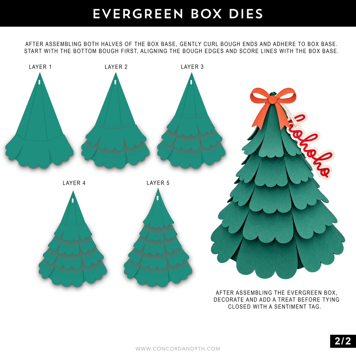 Evergreen Box Dies