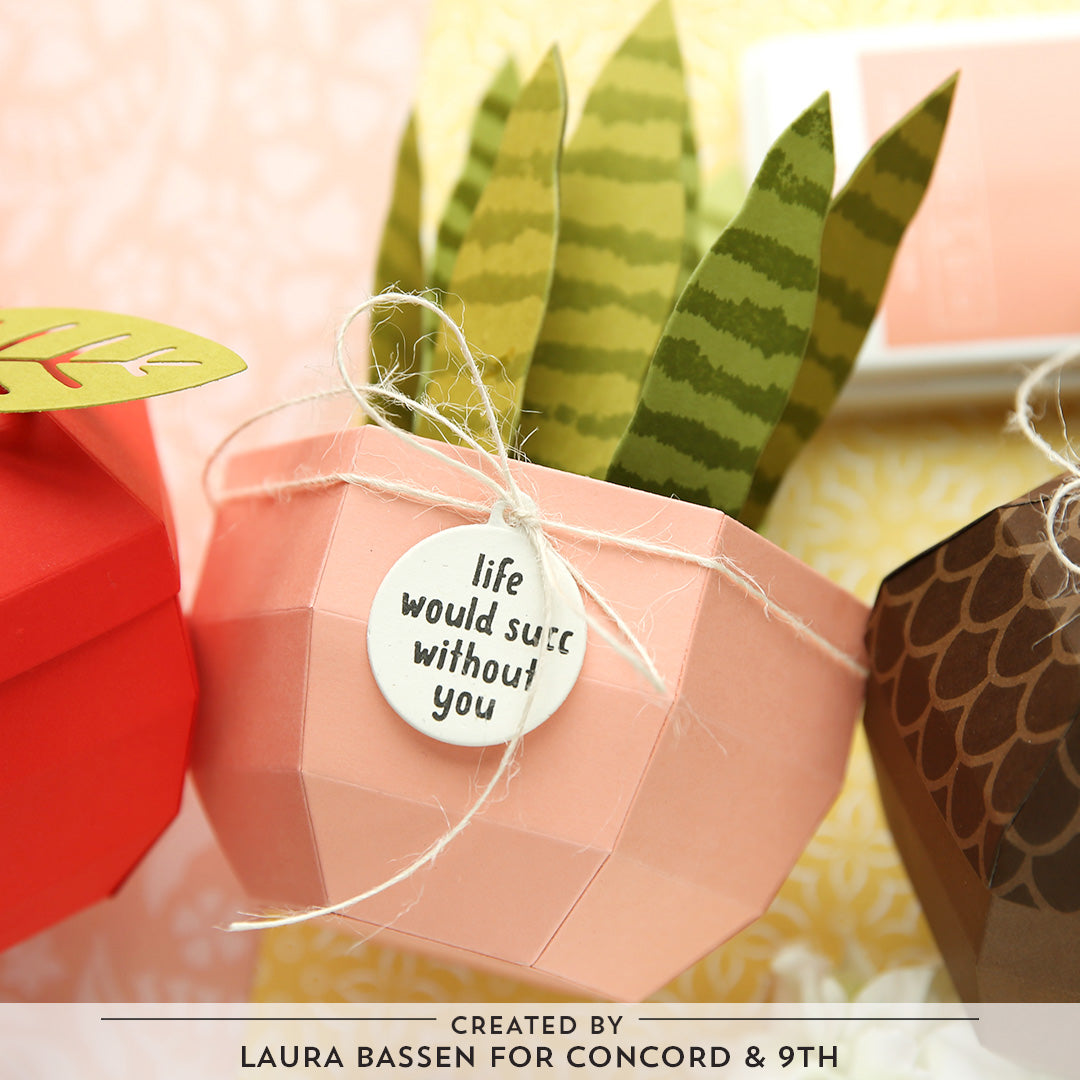 Fall Favors Box Dies