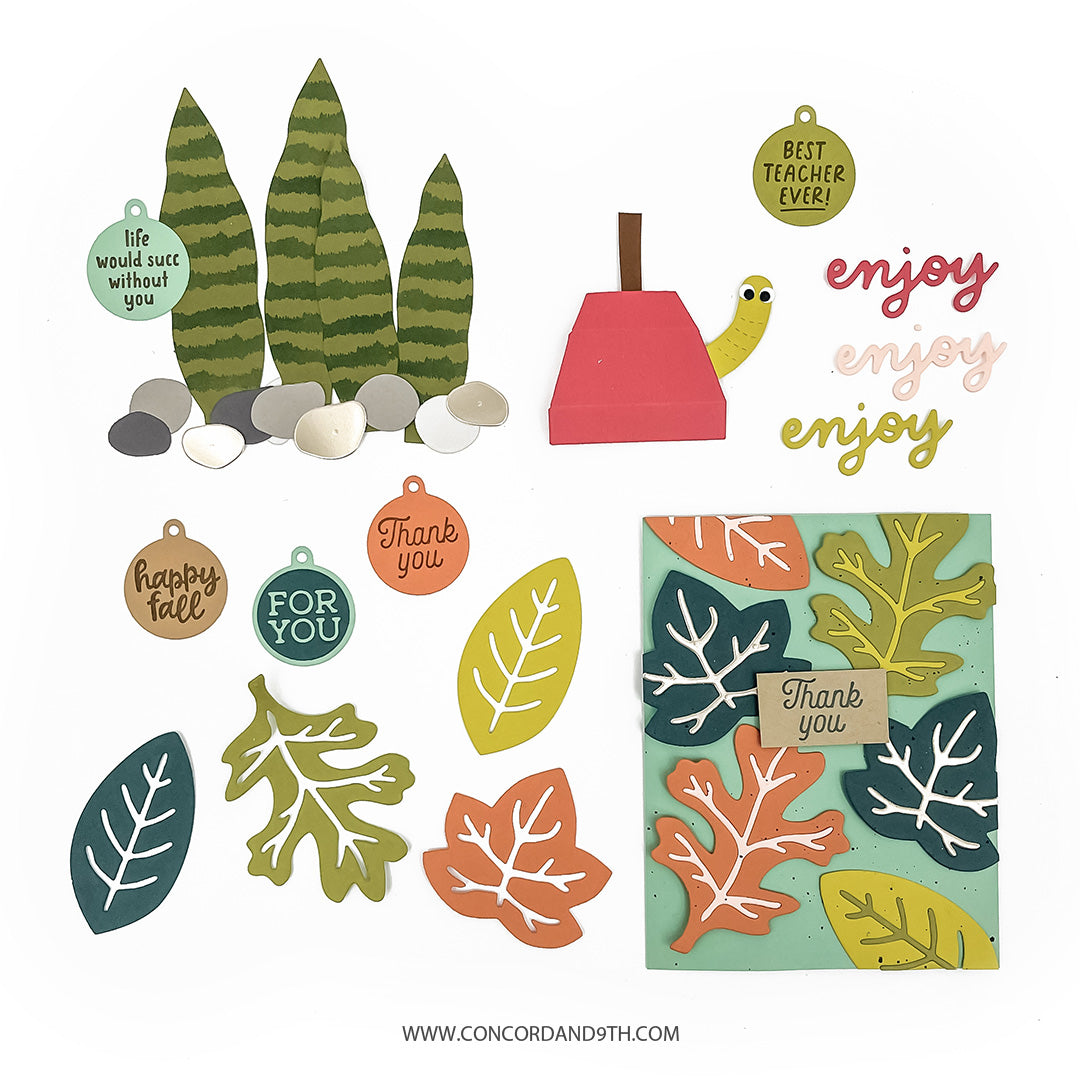 Fall Favors Box Dies