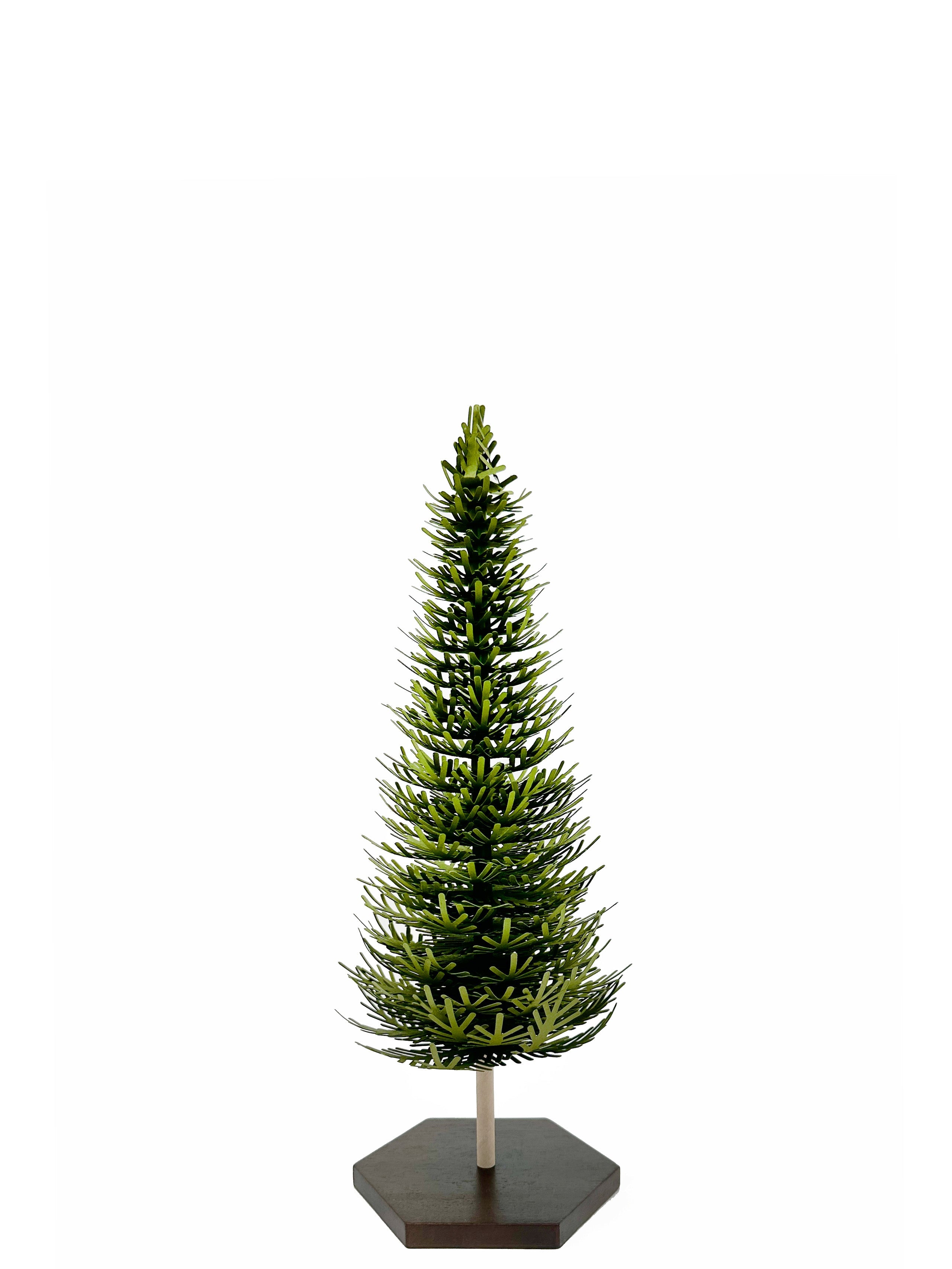 Forest Fir - Small Tree