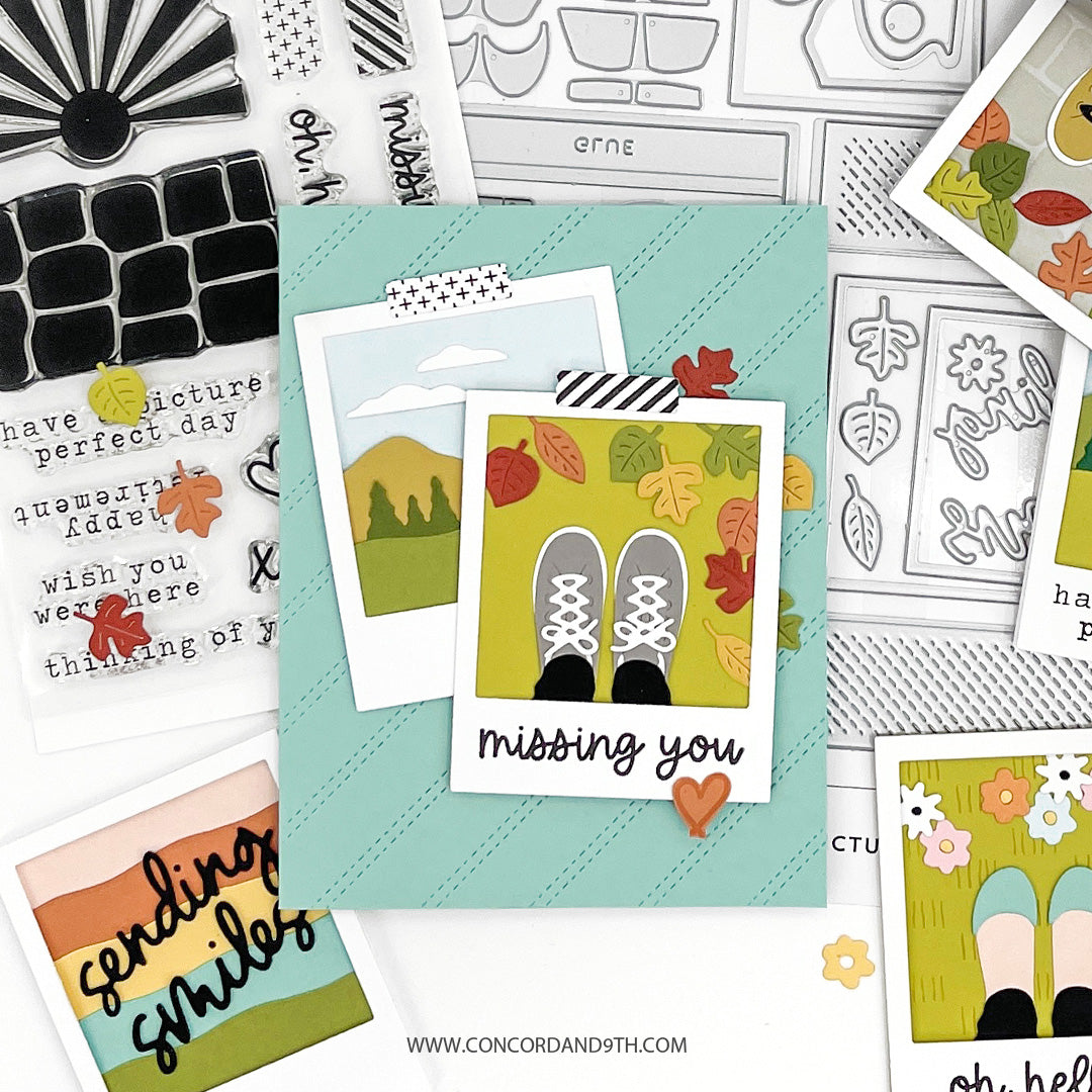 LAST CHANCE: Picture Perfect Stamp Set