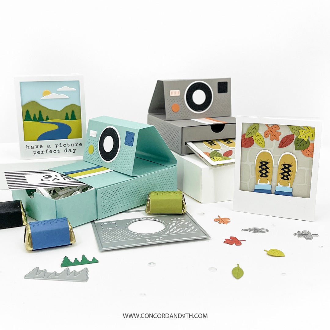 LAST CHANCE: Picture Perfect Stamp Set