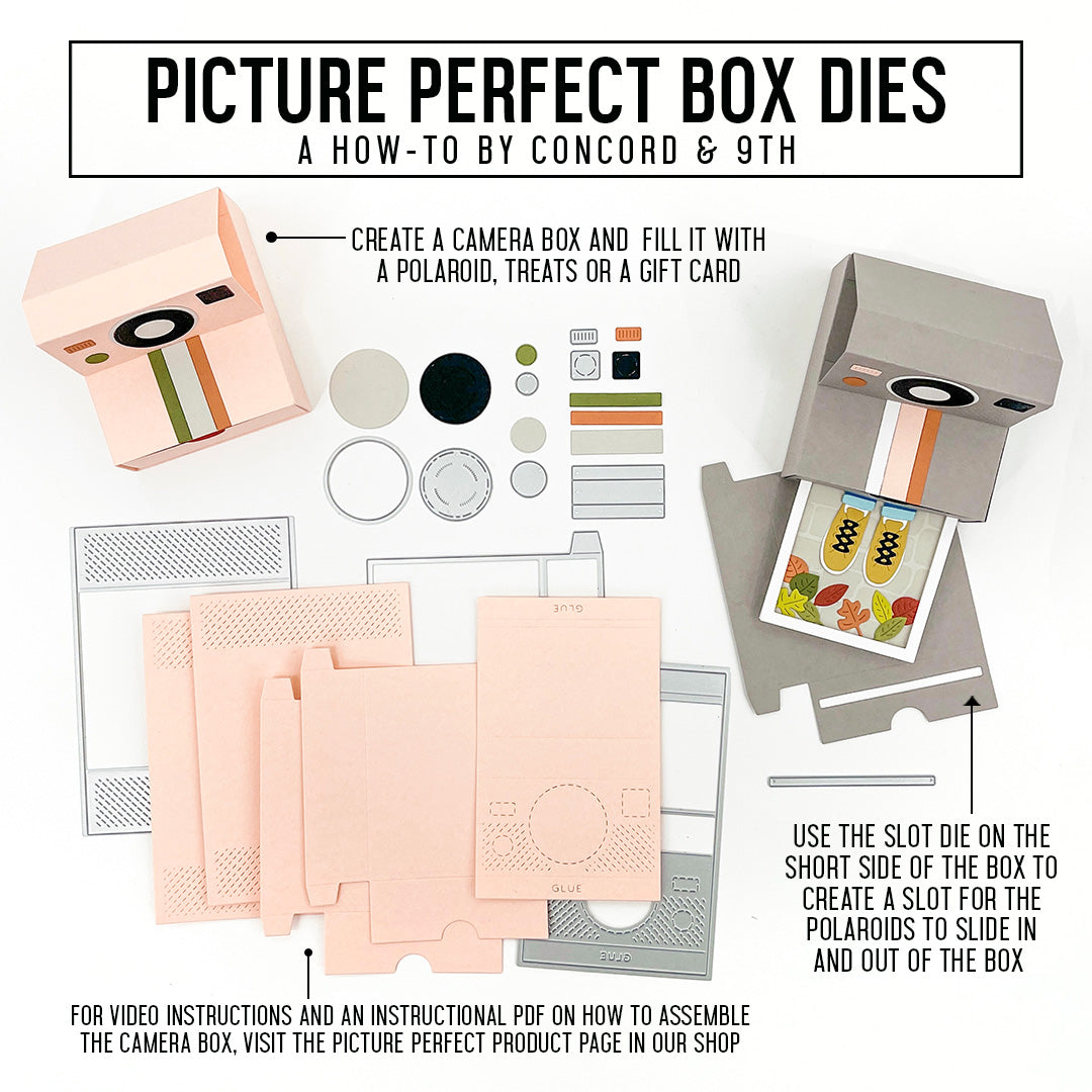 Picture Perfect Stamp Set