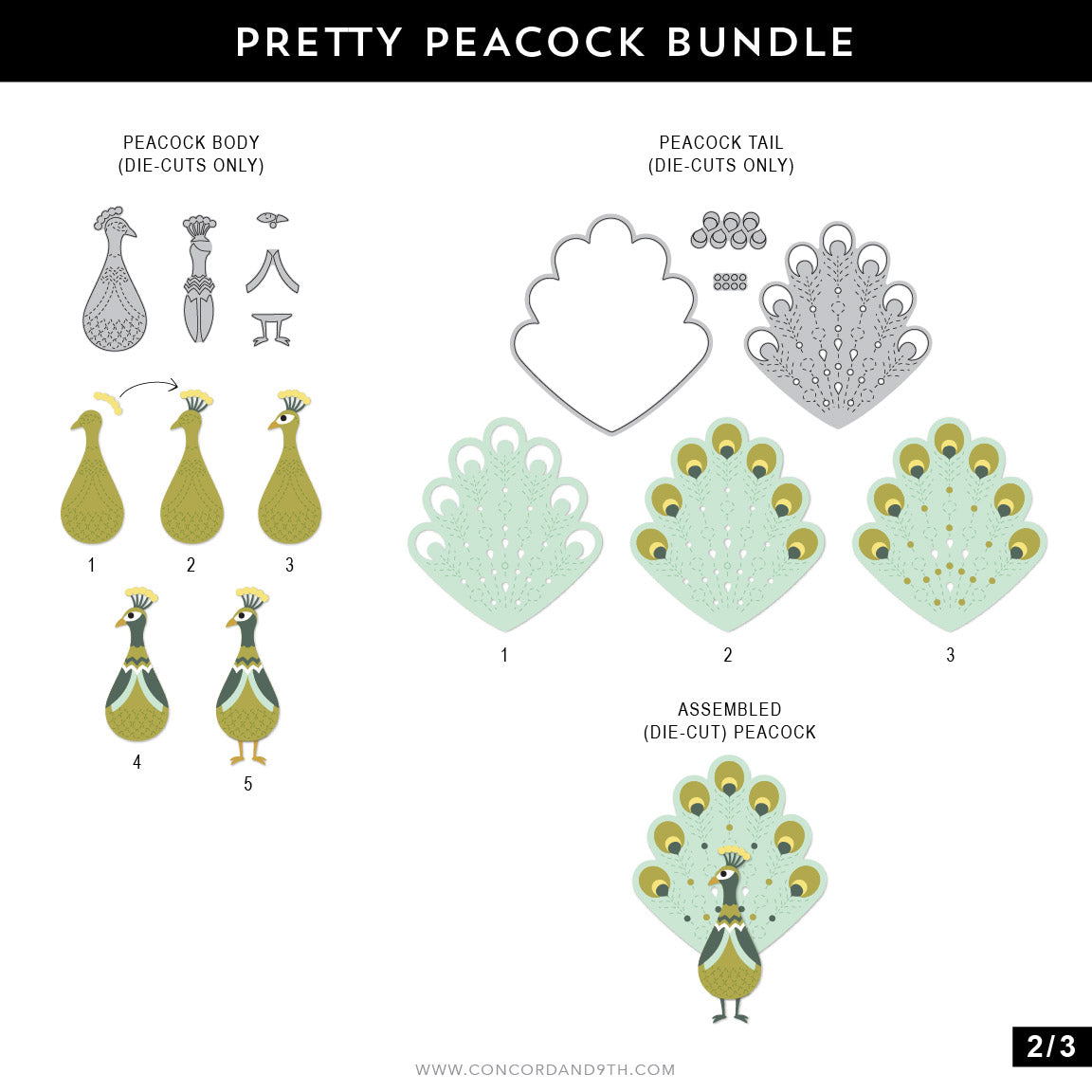 Pretty Peacock Stamp Set