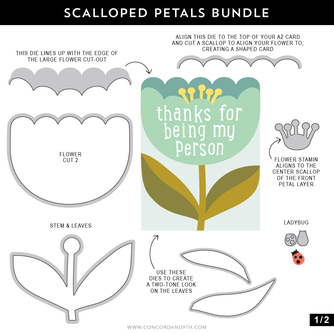 Scalloped Petals Stamp Set