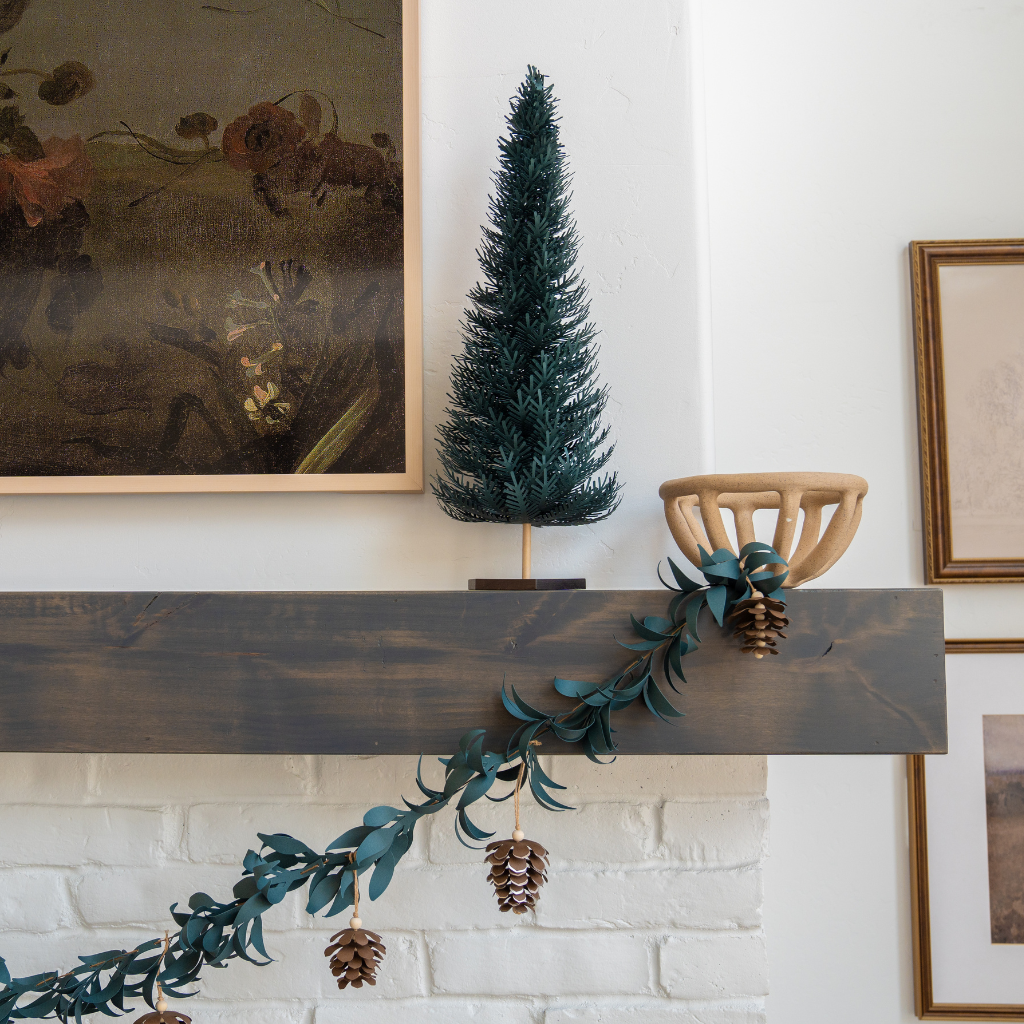 Splendid Spruce - Large Tree