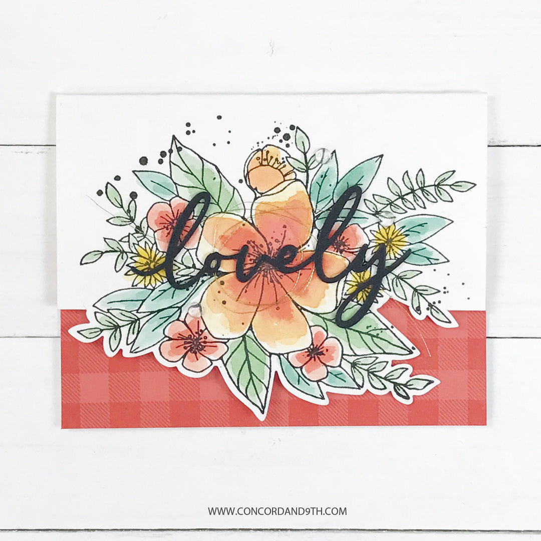 Hola, hermoso paquete