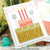 All About Cake Bundle