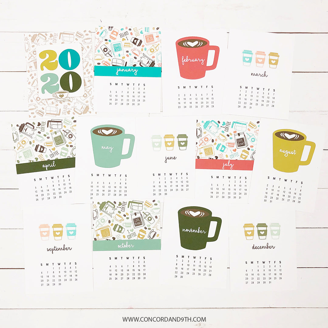 LAST CHANCE: Annuals Bundle