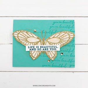 Beautiful Butterflies Stamp and Die Combo - Teaspoon of Fun