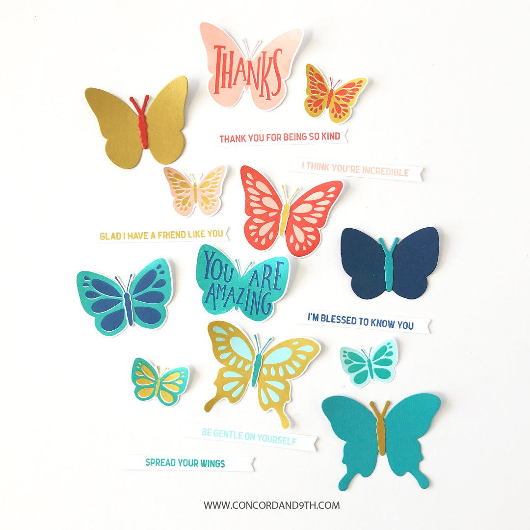 Bold Butterflies Bundle