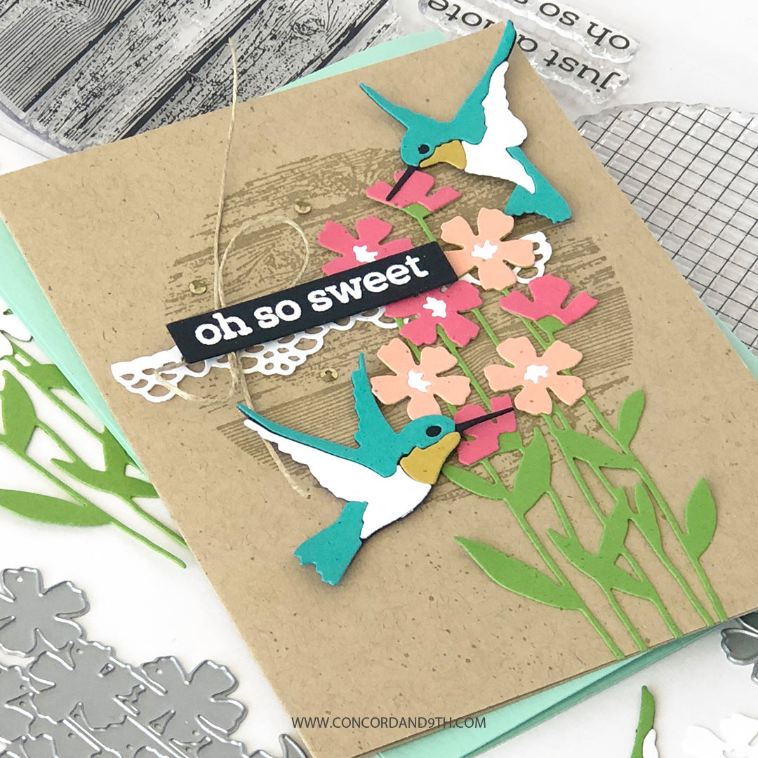 Paquete de jardín ecléctico