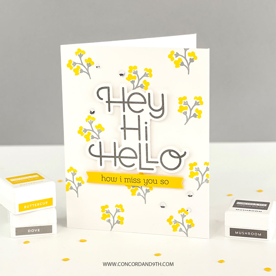 Paquete de deseos de Hola