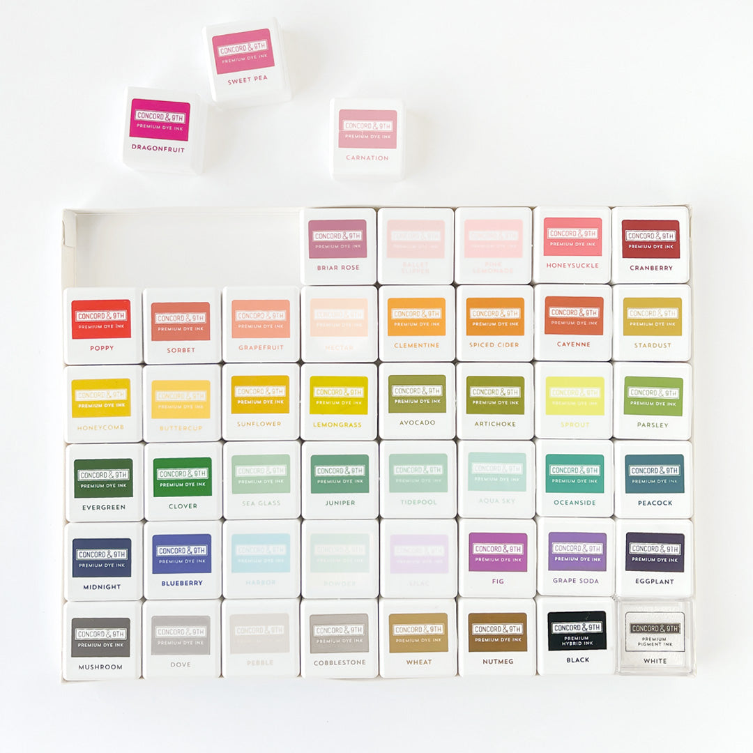 Ink Pads Bundle (48 Pads) - Concord & 9th