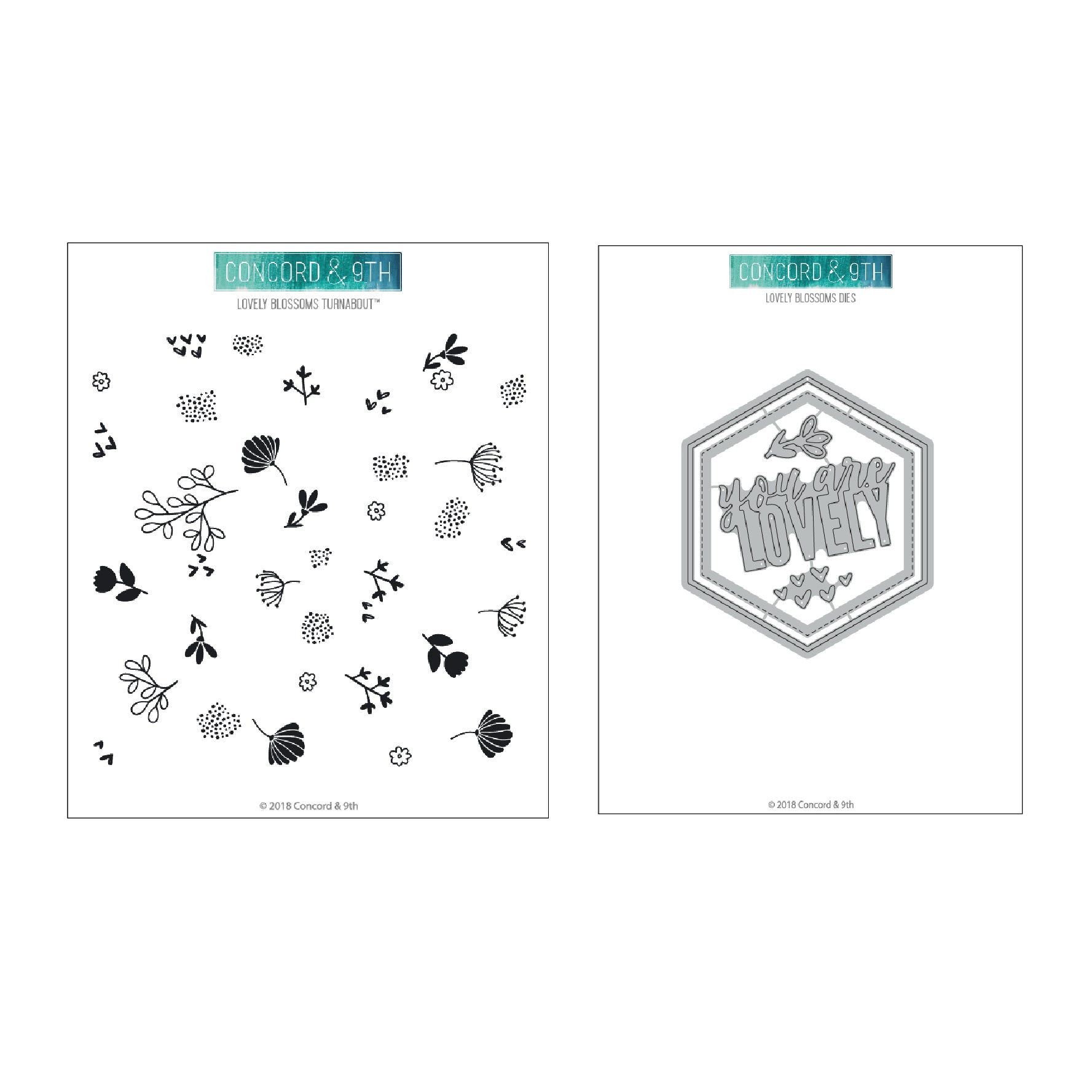 Paquete de hermosas flores