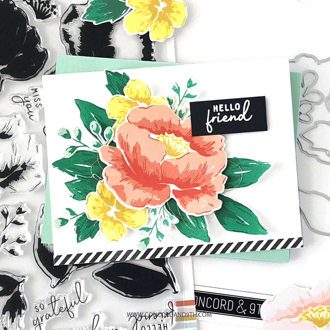 LAST CHANCE: Painted Peony Dies