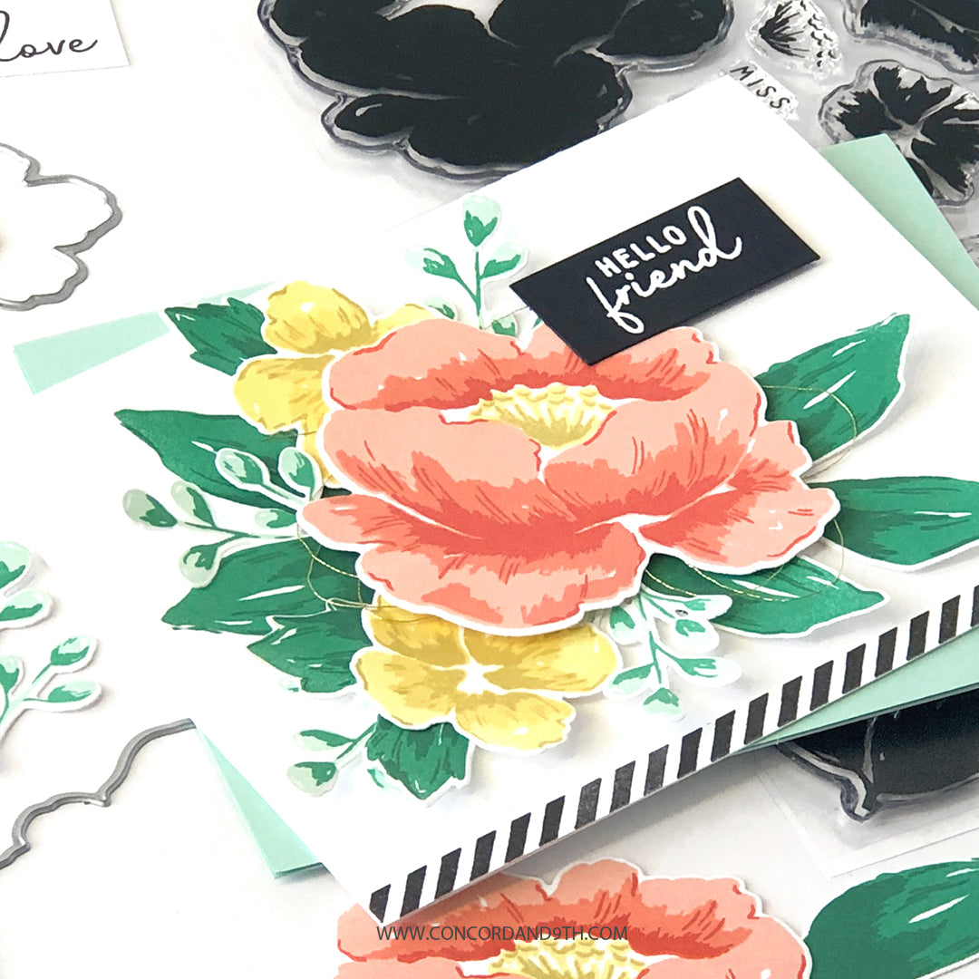 LAST CHANCE: Painted Peony Dies