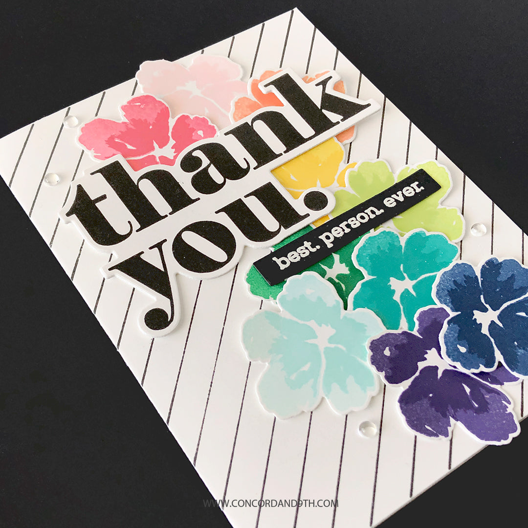 LAST CHANCE: Painted Peony Dies